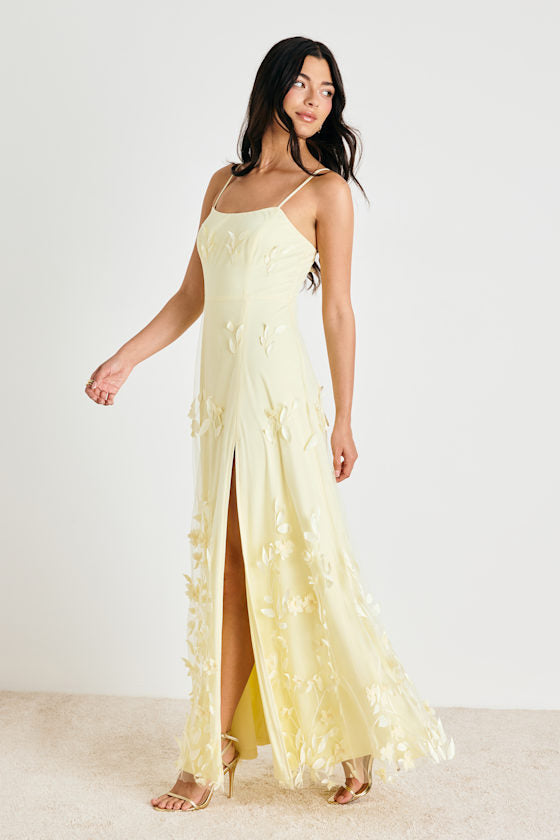Abundant Charm Blush Pink 3D Floral Applique Maxi Dress